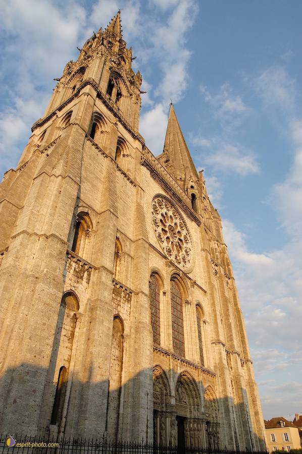 Nom de l'image : D1066656-nef_(c)Norbert-JUNG — Description :